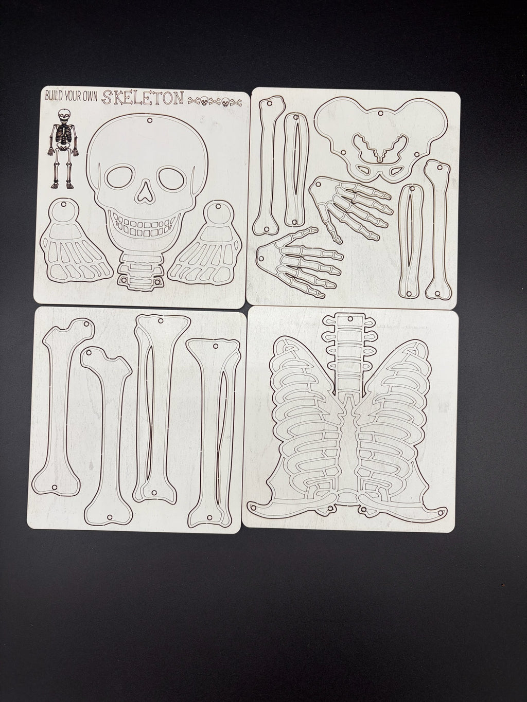 Pop Out Build-A- Skeleton